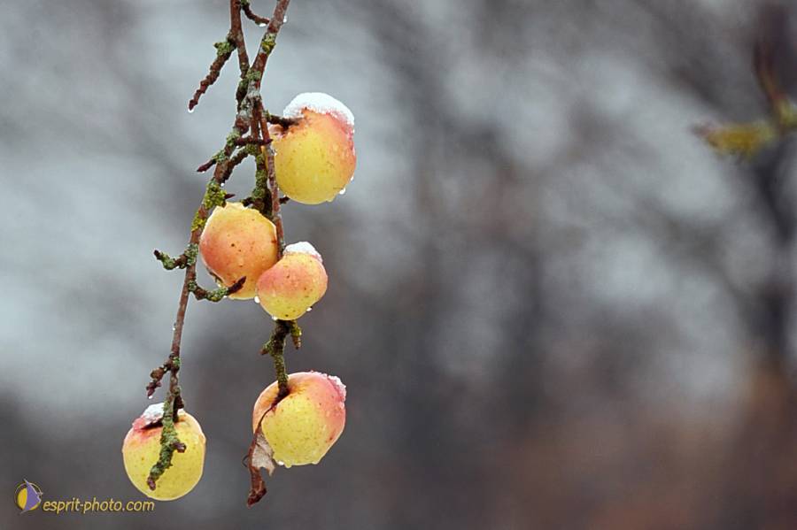 Nom de l'image : D30038098_2_(c)Norbert-JUNG — Description :